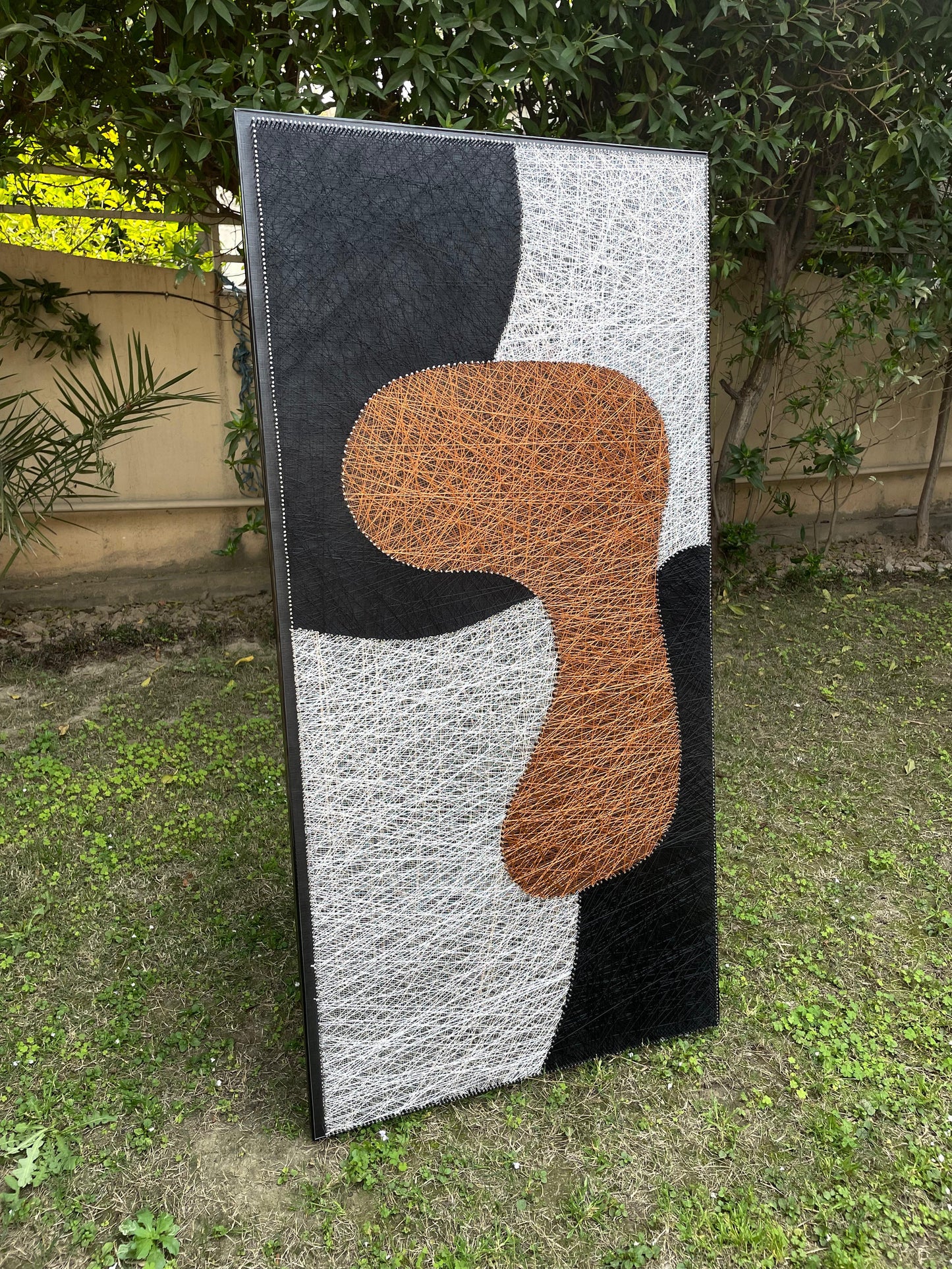 Abstract String Art