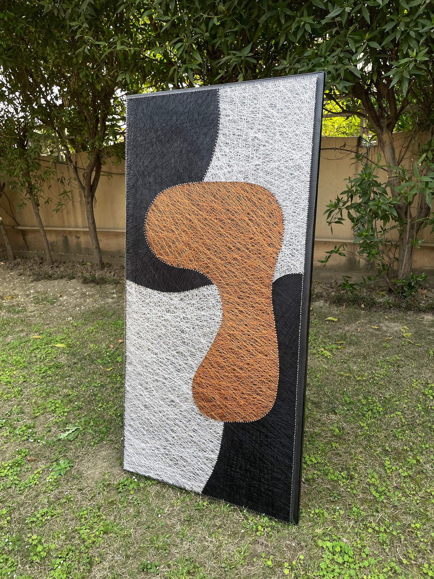 Abstract String Art