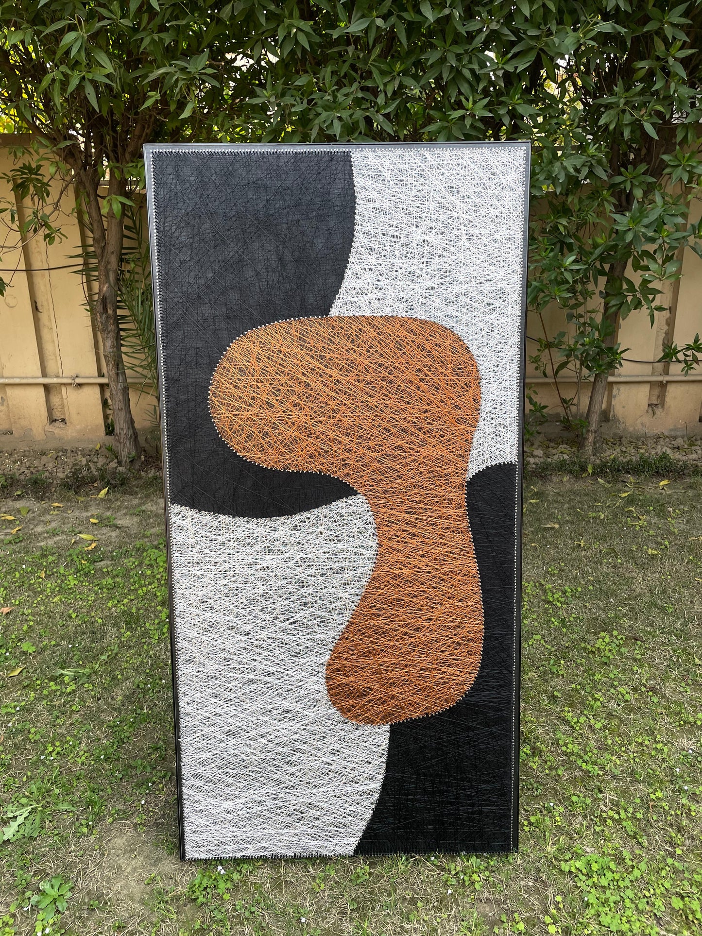 Abstract String Art